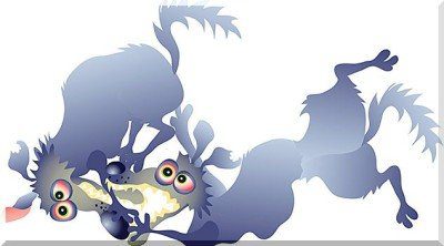 family violence family violence