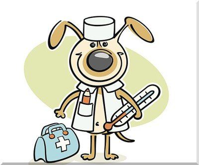 medical examination medical examination