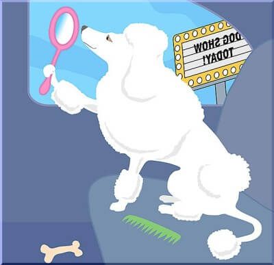 perfect body perfect body