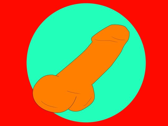 Виды пениса