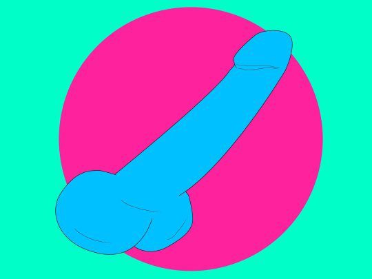 Виды пениса