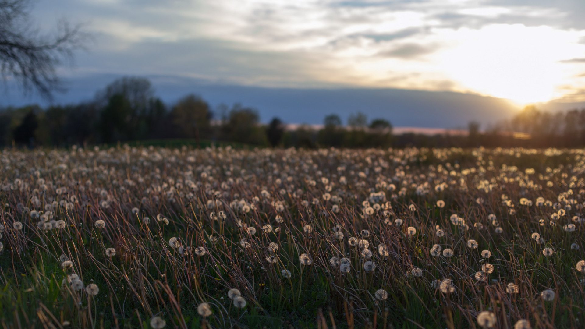 ЛГБТК+ семьи &mdash; истории которые не отменить