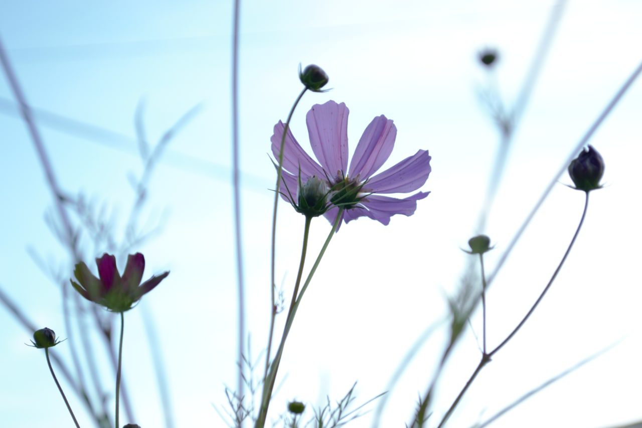 ЛГБТК+ семьи &mdash; истории которые не отменить