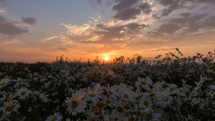 ЛГБТК+ семьи &mdash; истории которые не отменить