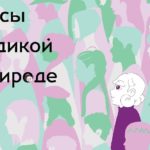 печатать книгу об асексуальности издадут в России