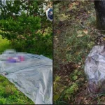 Пенсионерка погибла из-за увиденного случайно секса двух мужчин