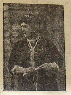 феминитивы