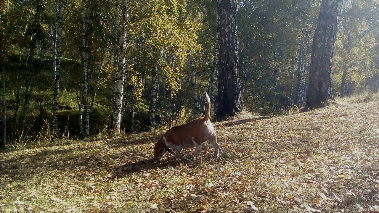 Гей из глубинки &mdash; история из Линево