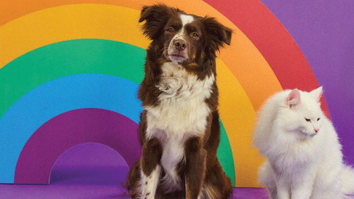 животные лгбт