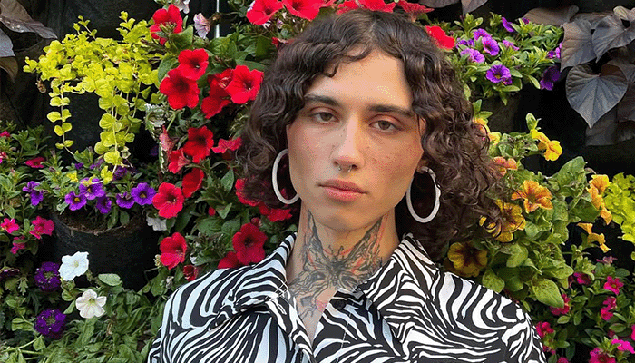 Владива Влад Дурак