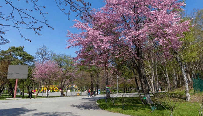 МыТут истории