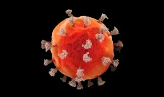 визуализация вируса иммунодефицита человека (ВИЧ)