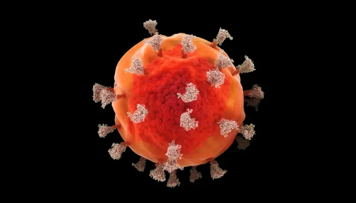 визуализация вируса иммунодефицита человека (ВИЧ)