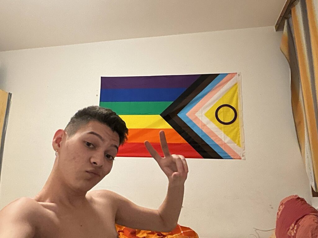 Австрия убежище